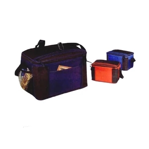 12-Pack Insulated Cooler
