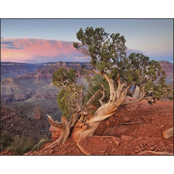 Stapled Landscapes of America Scenic Appointment Calendar - Image 9