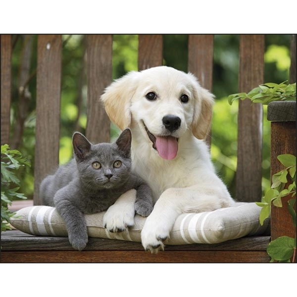 Stapled Puppies & Kittens Lifestyle Appointment Calendar - Image 2