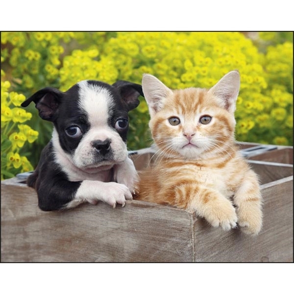 Stapled Puppies & Kittens Lifestyle Appointment Calendar - Image 5