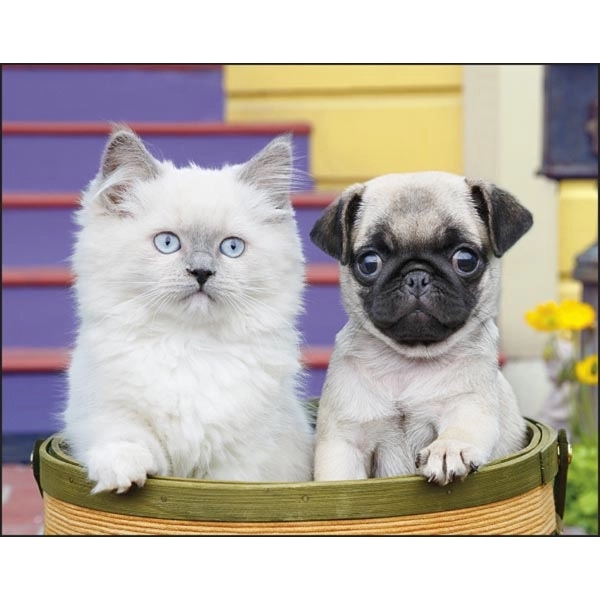 Stapled Puppies & Kittens Lifestyle Appointment Calendar - Image 8