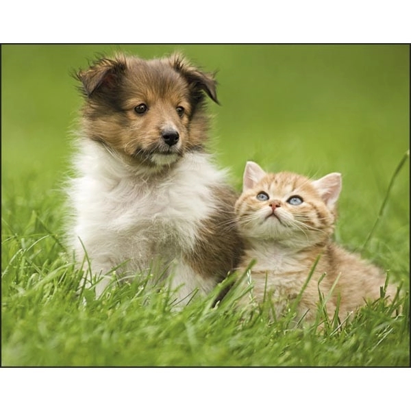 Stapled Puppies & Kittens Lifestyle Appointment Calendar - Image 11