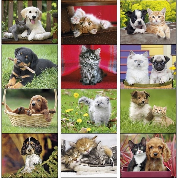 Stapled Puppies & Kittens Lifestyle Appointment Calendar - Image 15