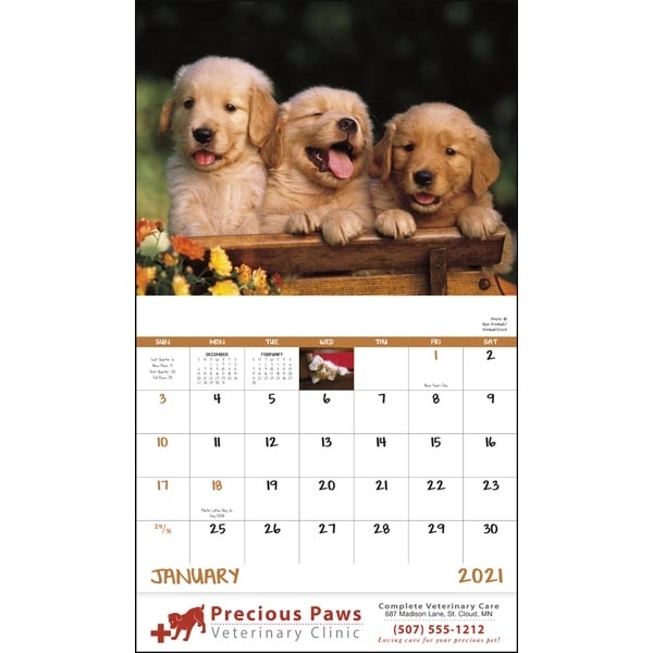 Stapled Puppies & Kittens Lifestyle Appointment Calendar - Image 17