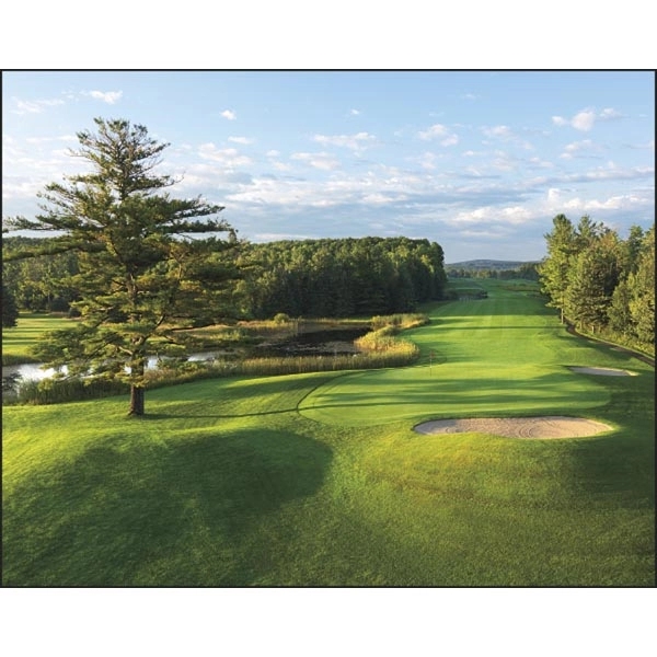 Stapled Fairways & Greens Lifestyle Appointment Calendar - Image 12