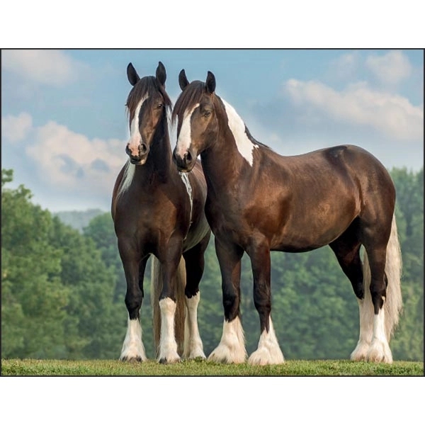 Horses 2022 Calendar - Image 4