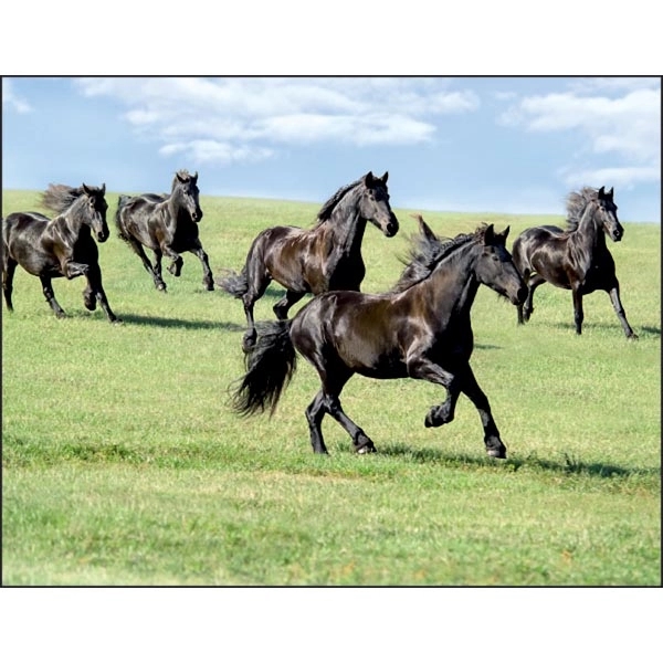 Horses 2022 Calendar - Image 8