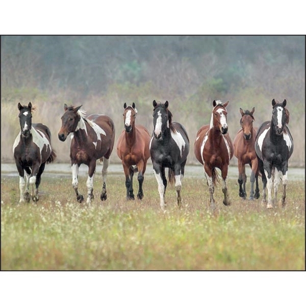 Horses 2022 Calendar - Image 11