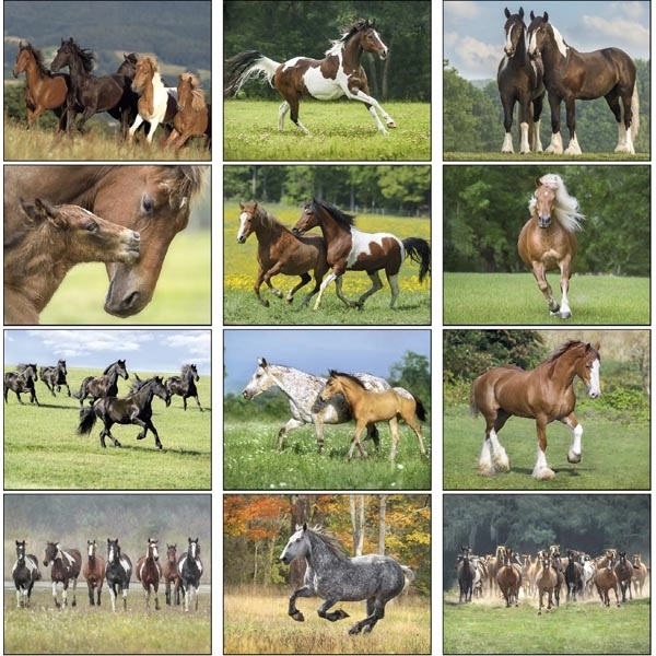 Horses 2022 Calendar - Image 14