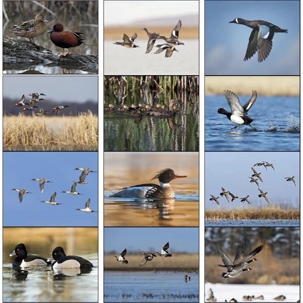 Spiral Waterfowl 2022 Appointment Calendar - Image 15