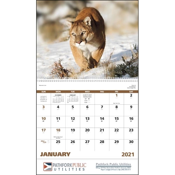 Spiral Wildlife Portraits Appointment Calendar - Image 17