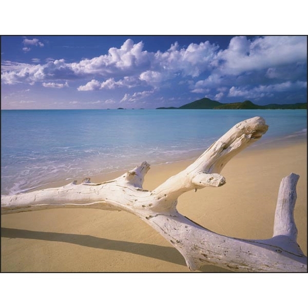 Beach Paradise 2022 Calendar- Stapled - Image 2