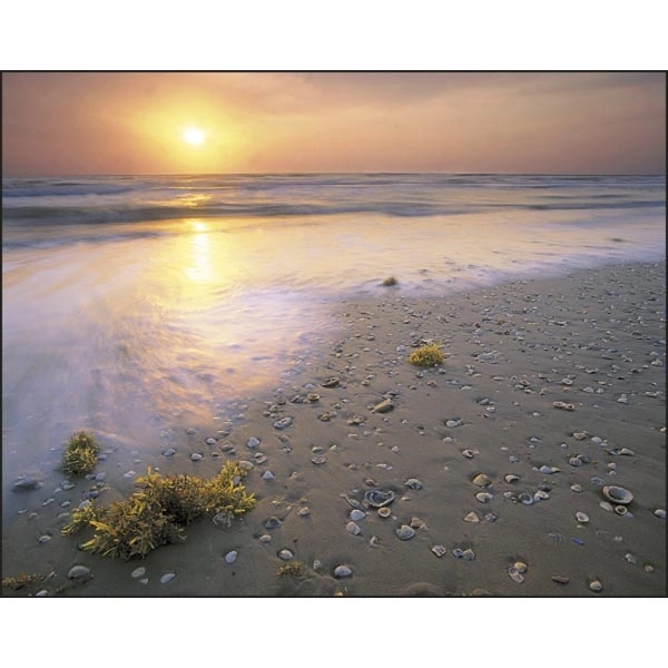 Beach Paradise 2022 Calendar- Stapled - Image 13