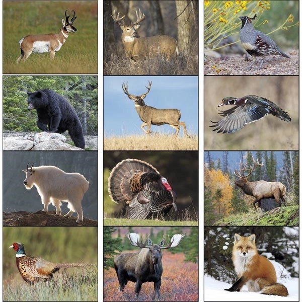 Stapled Wildlife Portraits 2022 Appointment Calendar - Image 15