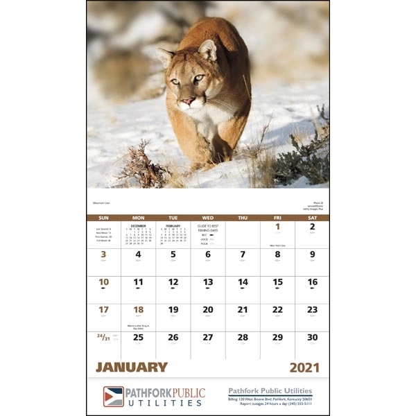 Stapled Wildlife Portraits 2022 Appointment Calendar - Image 17
