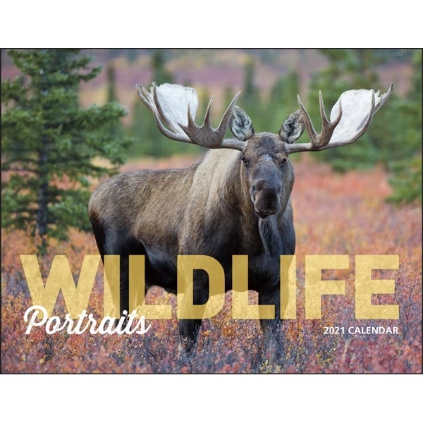 Window Wildlife Portraits 2022 Appointment Calendar - Image 16