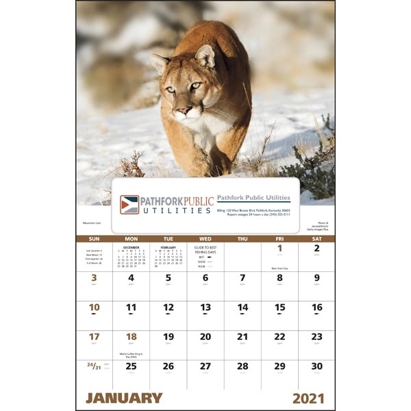 Window Wildlife Portraits 2022 Appointment Calendar - Image 17