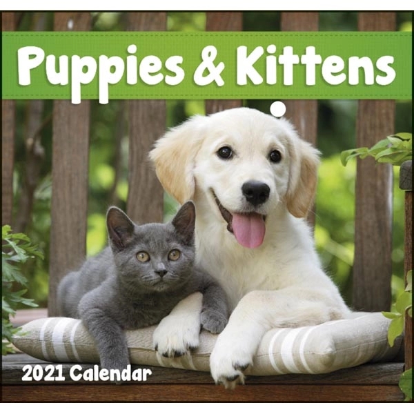 Puppies & Kittens Mini 2022 Appointment Calendar - Image 14