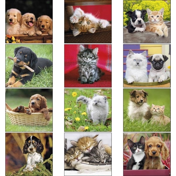 Puppies & Kittens Mini 2022 Appointment Calendar - Image 15