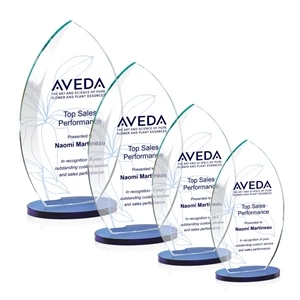 Windermere VividPrint™ Award - Blue