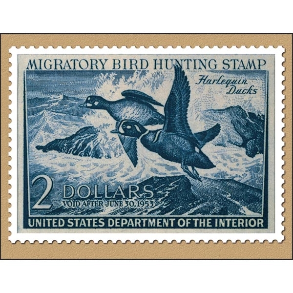 Duck Stamp 2022 Calendar - Image 3