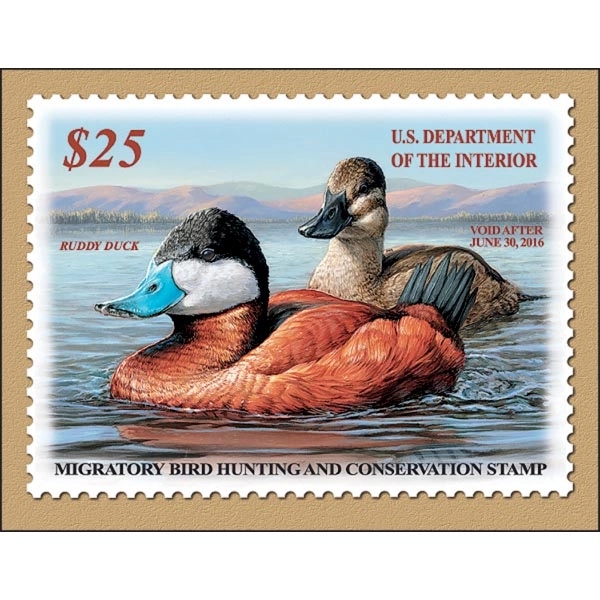 Duck Stamp 2022 Calendar - Image 6