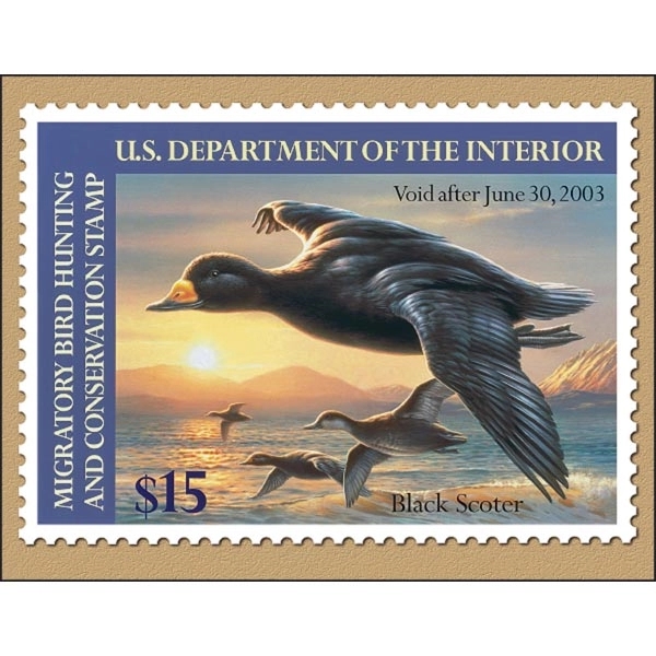 Duck Stamp 2022 Calendar - Image 7