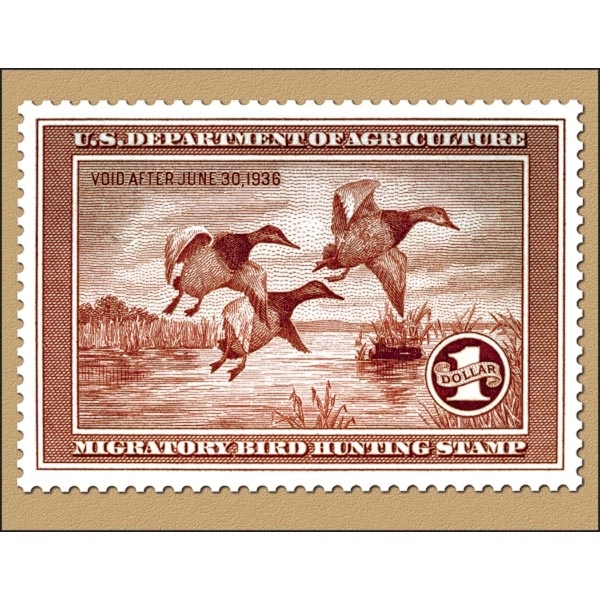Duck Stamp 2022 Calendar - Image 8