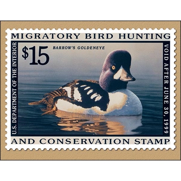 Duck Stamp 2022 Calendar - Image 9