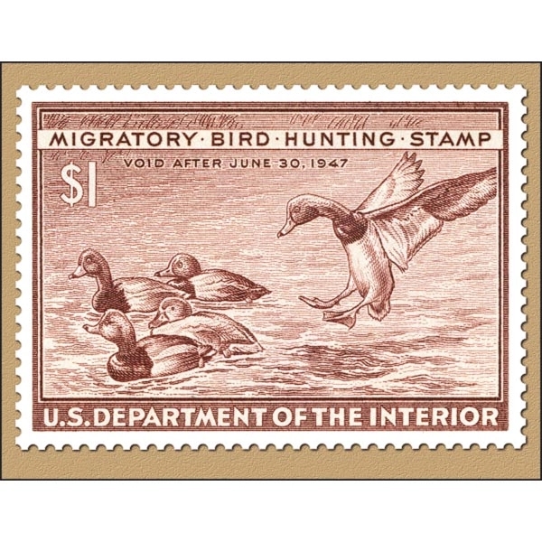 Duck Stamp 2022 Calendar - Image 11