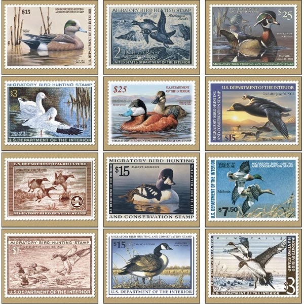 Duck Stamp 2022 Calendar - Image 14
