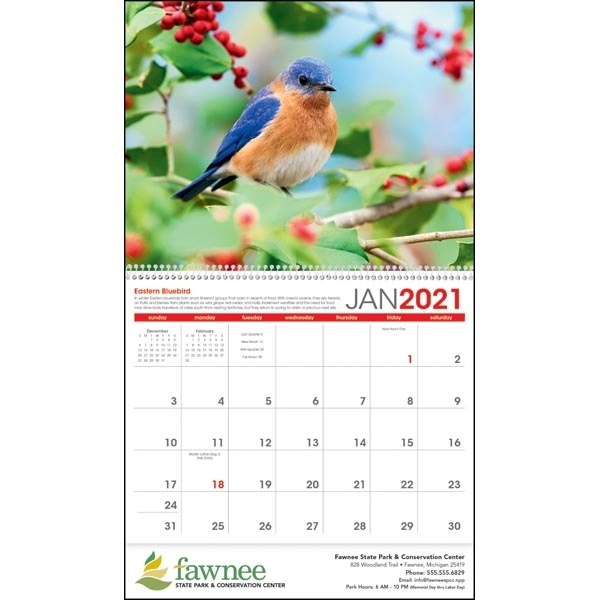 Birds 2022 Calendar - Image 16