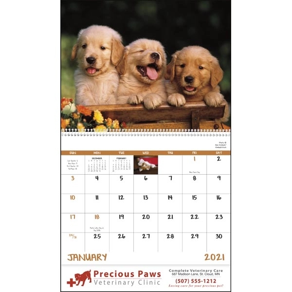 Spiral Puppies & Kittens Lifestyle 2022 Appointment Calendar - Image 17