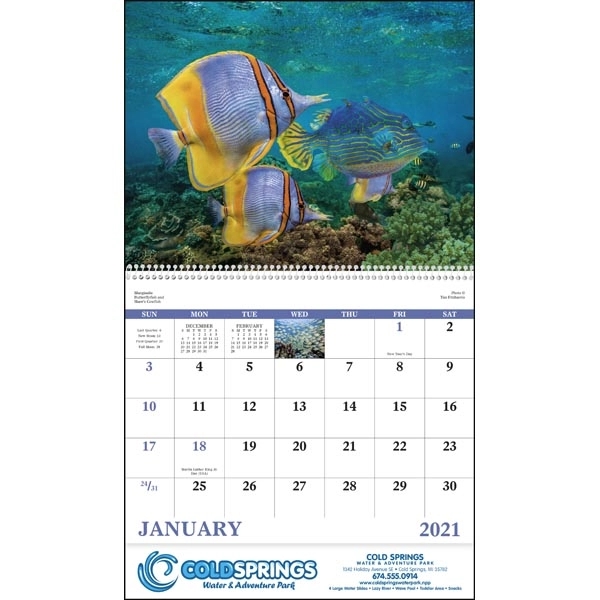 Spiral Ocean Glory Lifestyle 2022 Appointment Calendar - Image 17