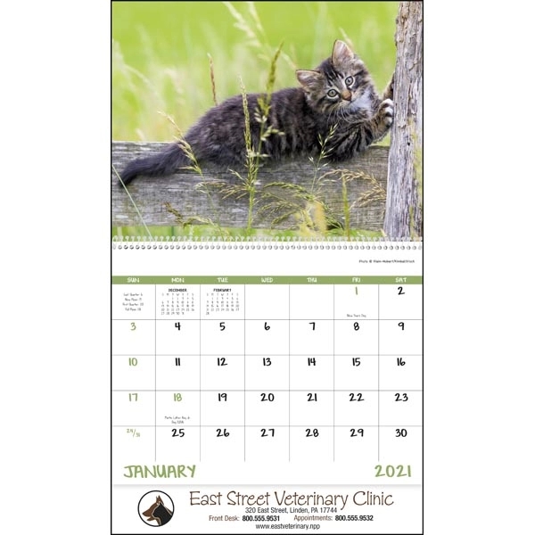 Spiral Baby Farm Animals Lifestyle 2022 Appointment Calendar - Image 17