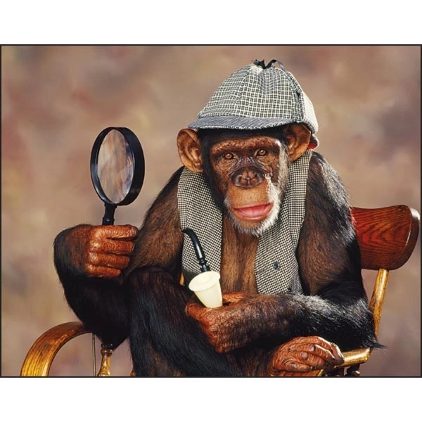 Spiral Monkey Mischief Lifestyle 2022 Appointment Calendar - Image 11