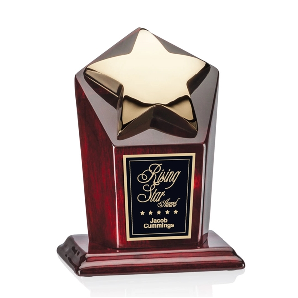 Strickland Award - Gold - Image 3