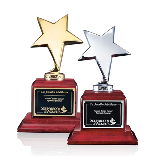 Densley Star Award - Image 1