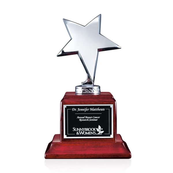 Densley Star Award - Image 2