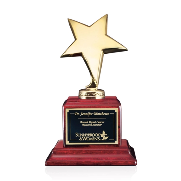Densley Star Award - Image 3