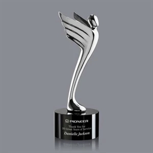 Meteor Award - Silver