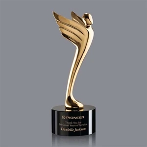 Meteor Award - Gold