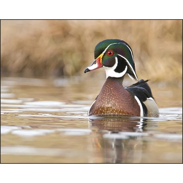 Stapled Waterfowl 2022 Appointment Calendar - Image 3