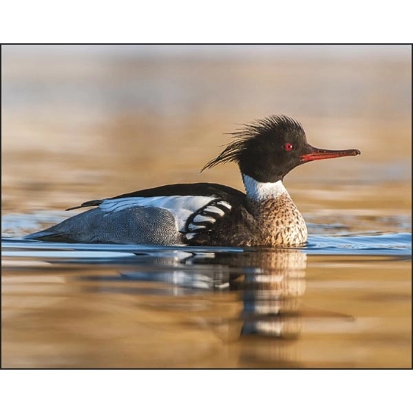 Stapled Waterfowl 2022 Appointment Calendar - Image 10
