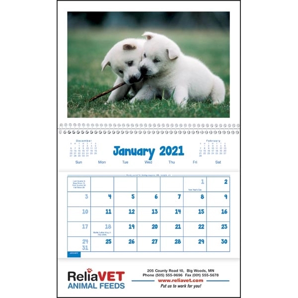 Puppies & Kittens Pocket 2022 Calendar - Image 16