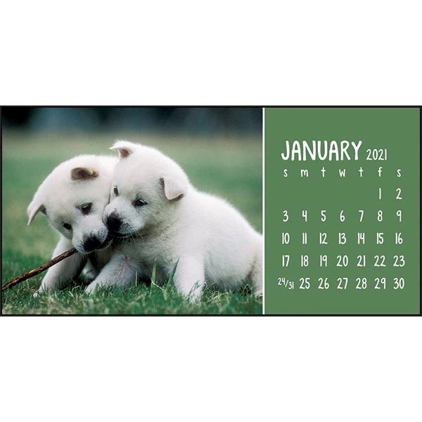 Puppies & Kittens Desk 2022 Calendar - Image 2