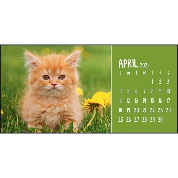 Puppies & Kittens Desk 2022 Calendar - Image 6