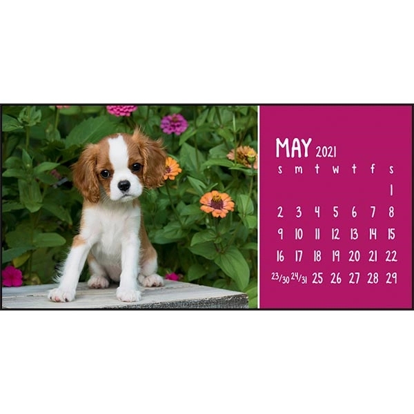 Puppies & Kittens Desk 2022 Calendar - Image 8