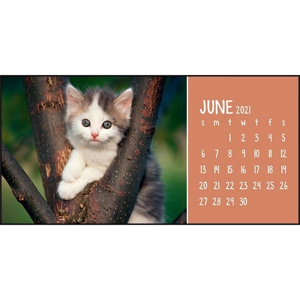 Puppies & Kittens Desk 2022 Calendar - Image 9