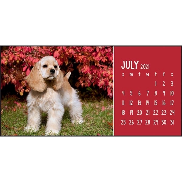 Puppies & Kittens Desk 2022 Calendar - Image 10